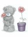 grey-bear-flower-love.jpg